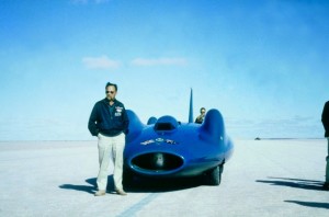 bluebird-1