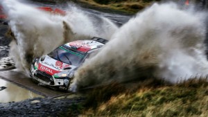 wrc wales 2